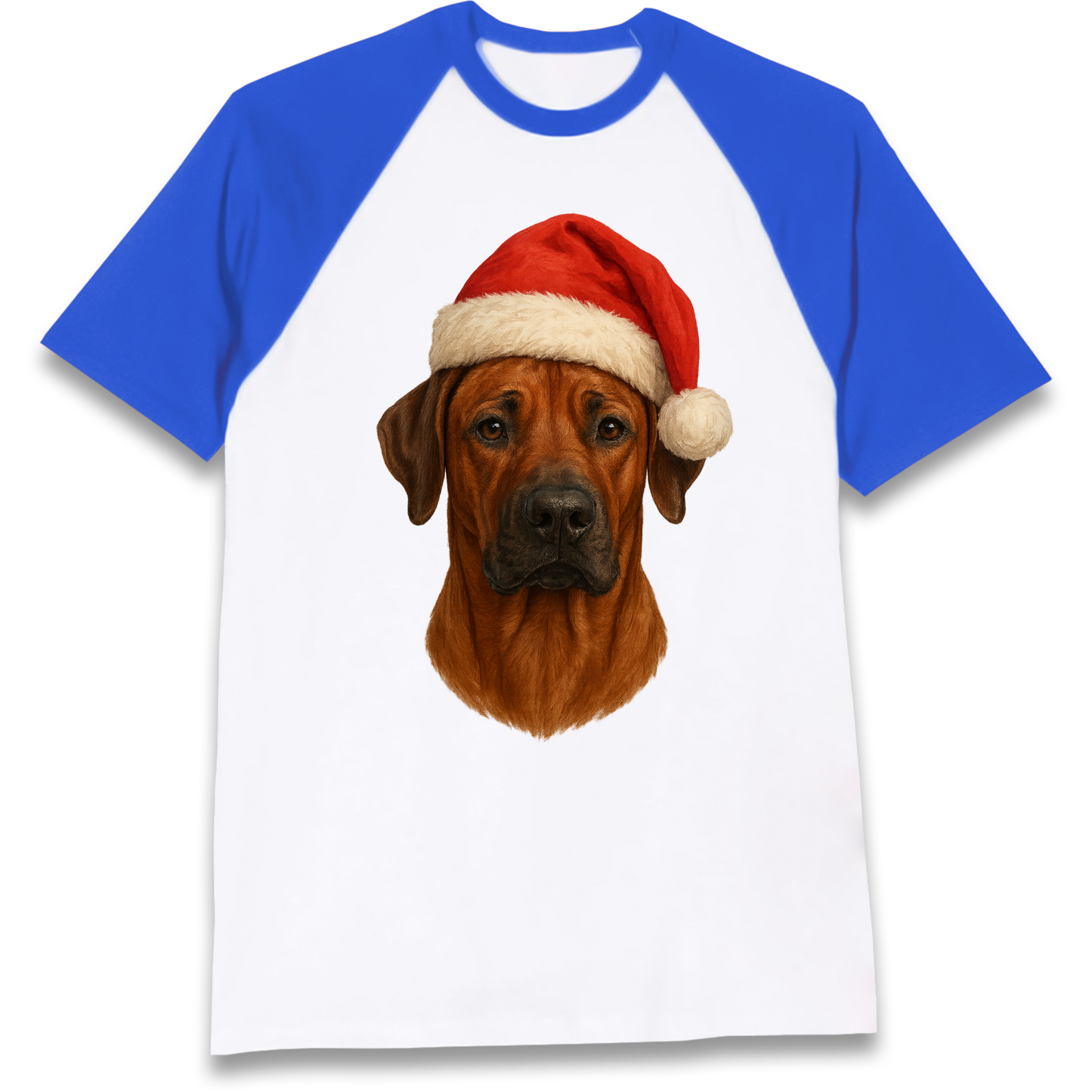 Rhodesian Ridgeback Christmas Raglan T Shirt
