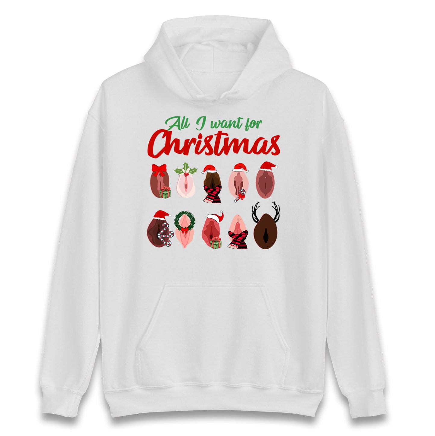 All I Want For Christmas Vagina Funny Hoodie