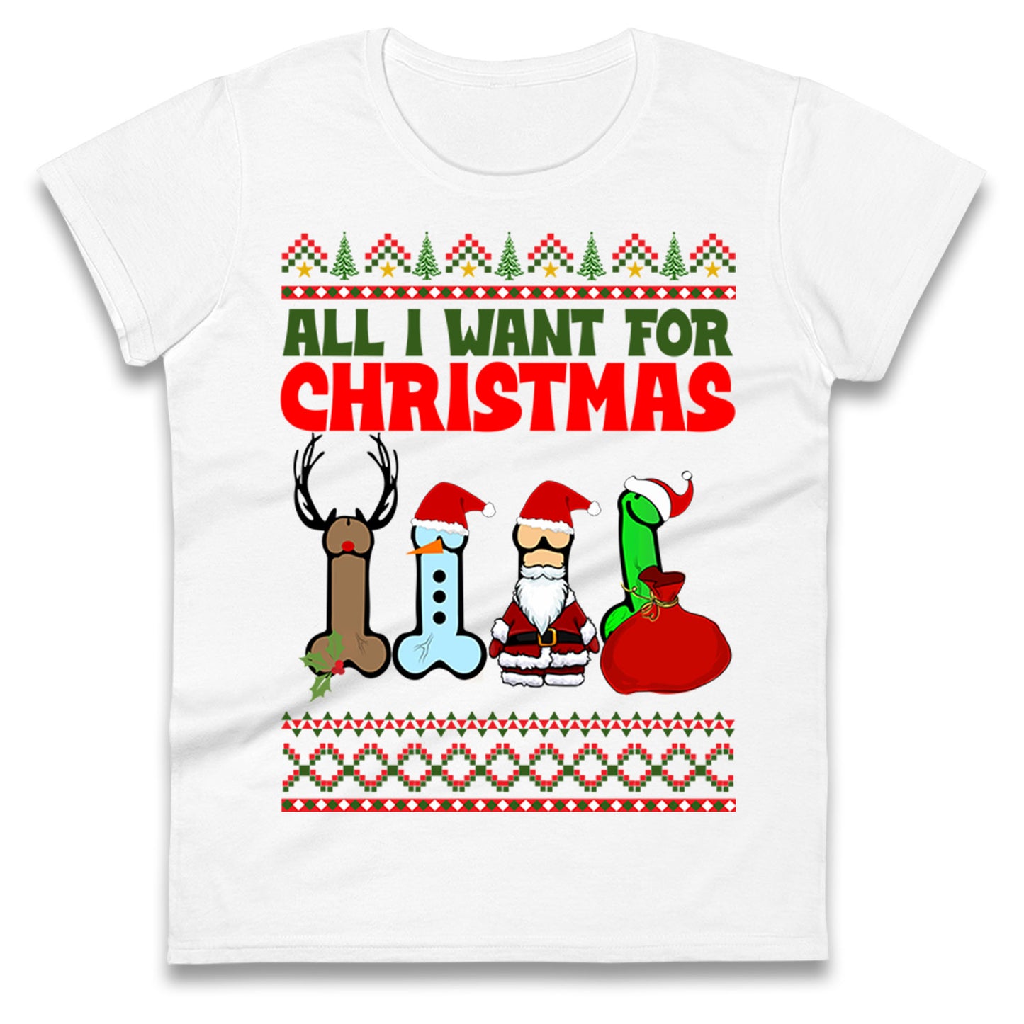 All I Want For Christmas Funny T Shirt