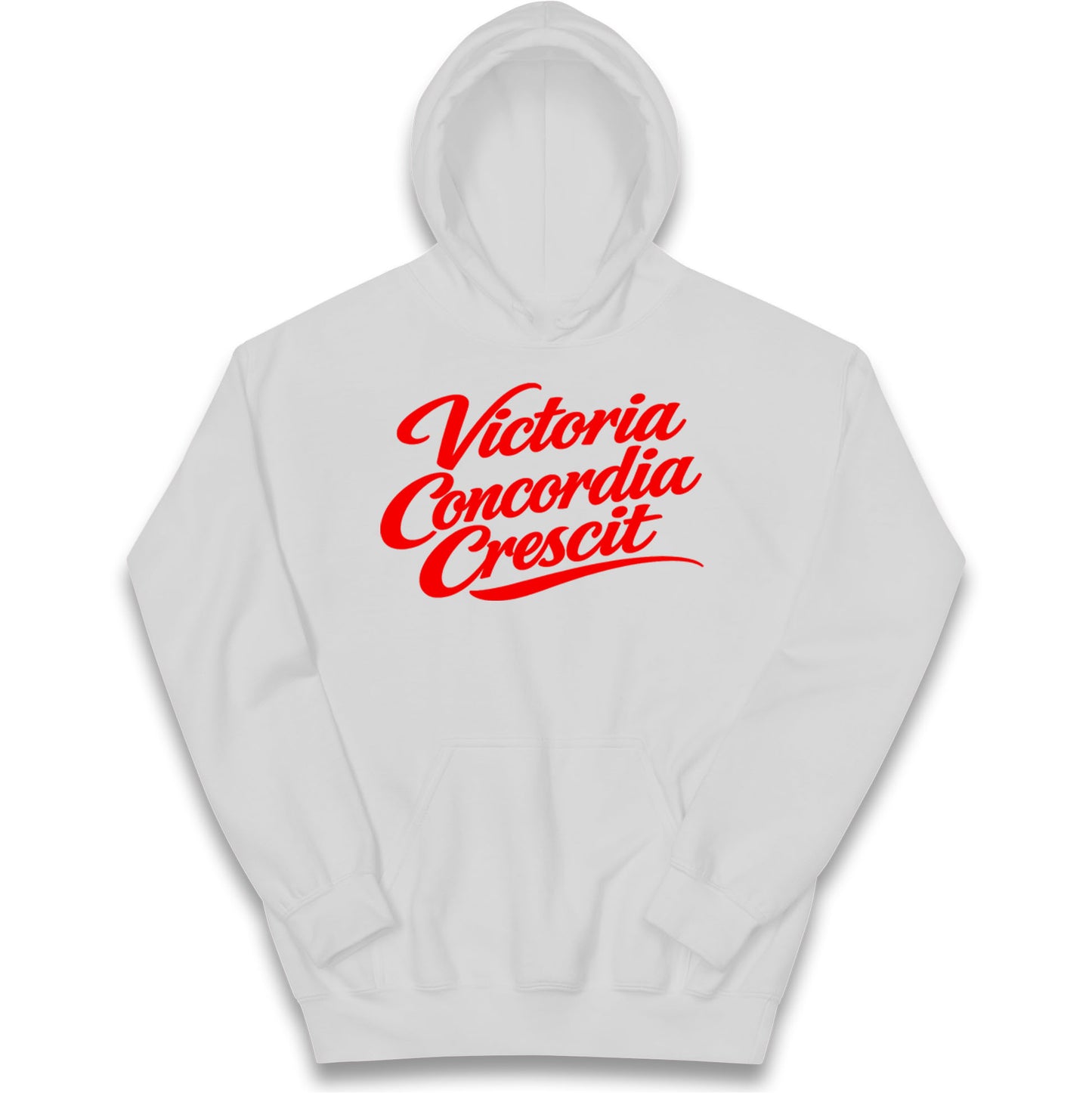 Arsenal Motto Kids Hoodie
