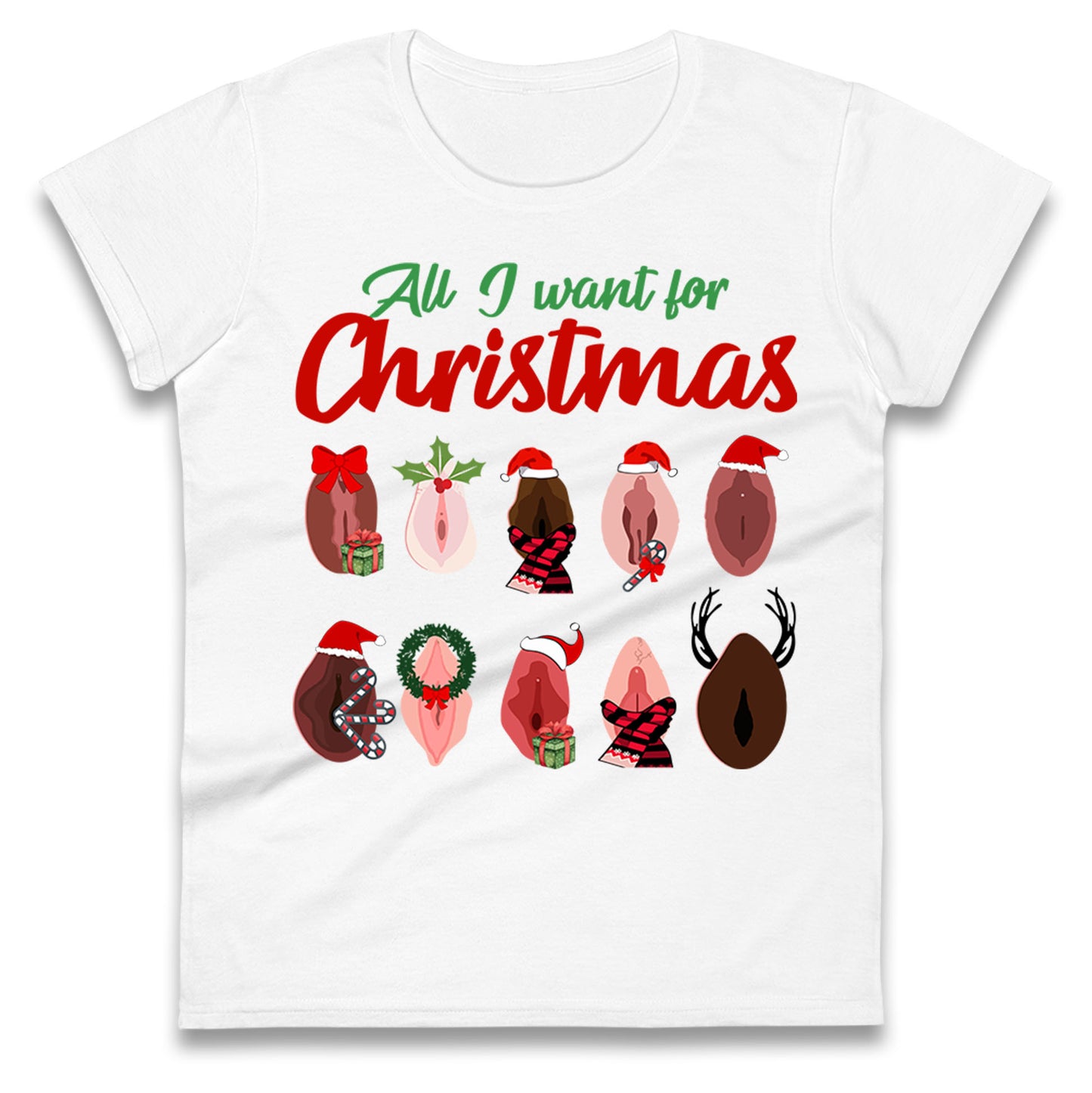 All I Want For Christmas Vagina Funny T Shirt