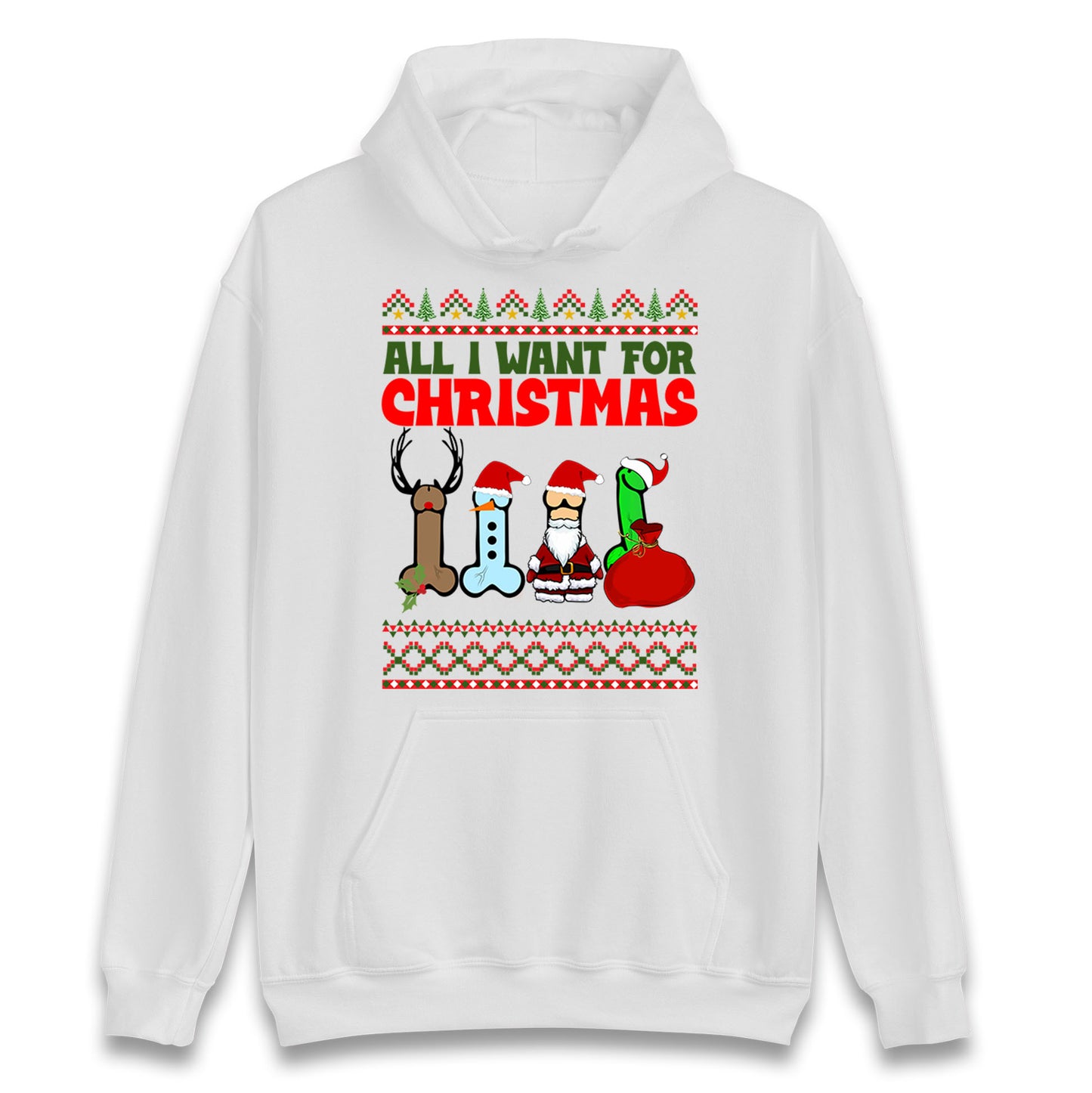 All I Want For Christmas Funny Hoodie