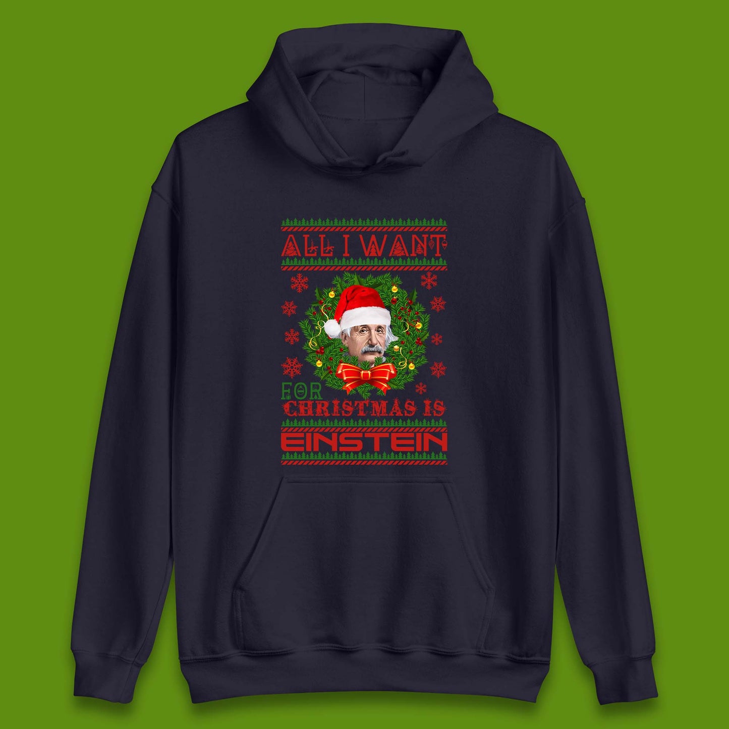 Want Einstein For Christmas Unisex Hoodie