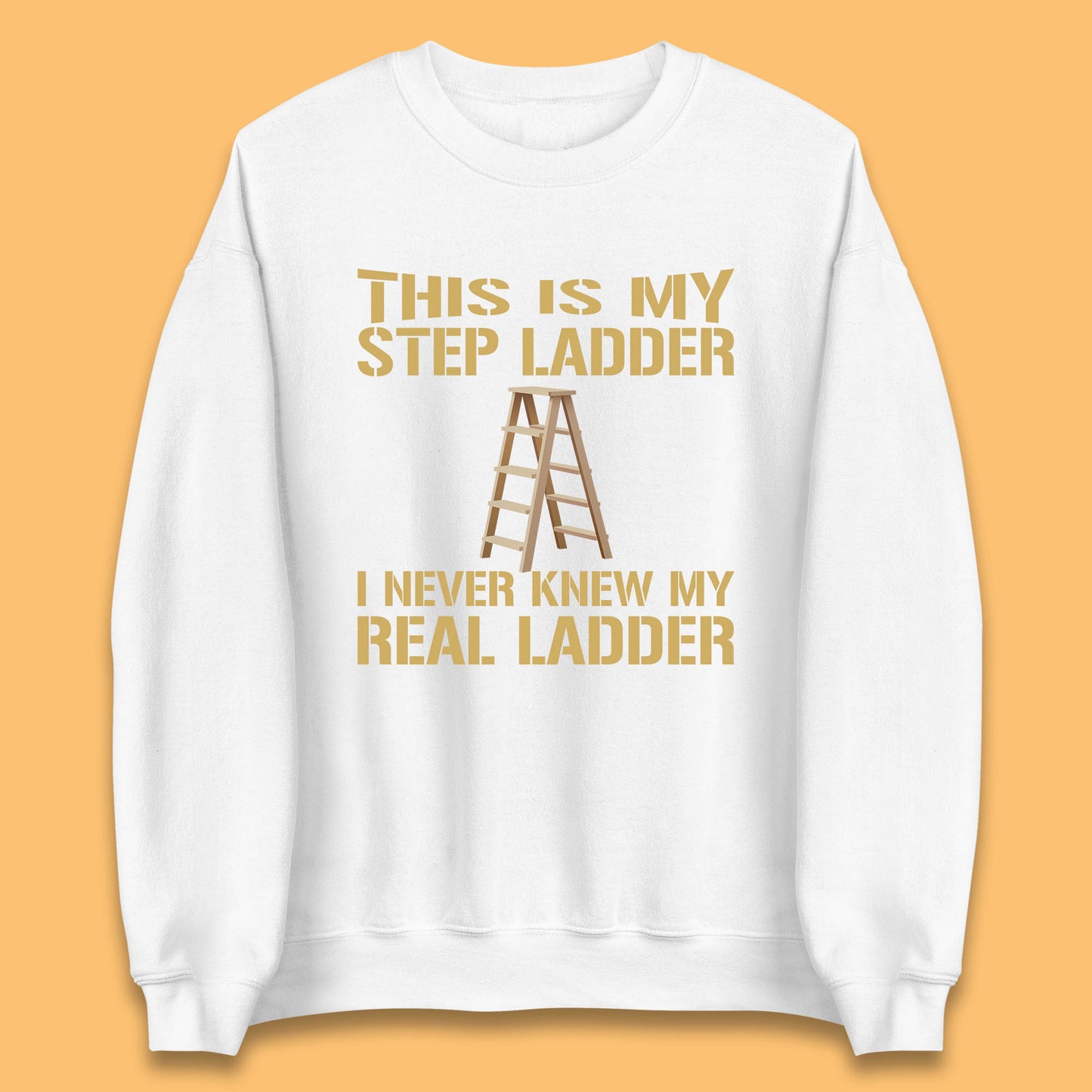 This Is My Step Ladder I Never Knew My Real Ladder Funny Joke Humour Unisex Sweatshirt