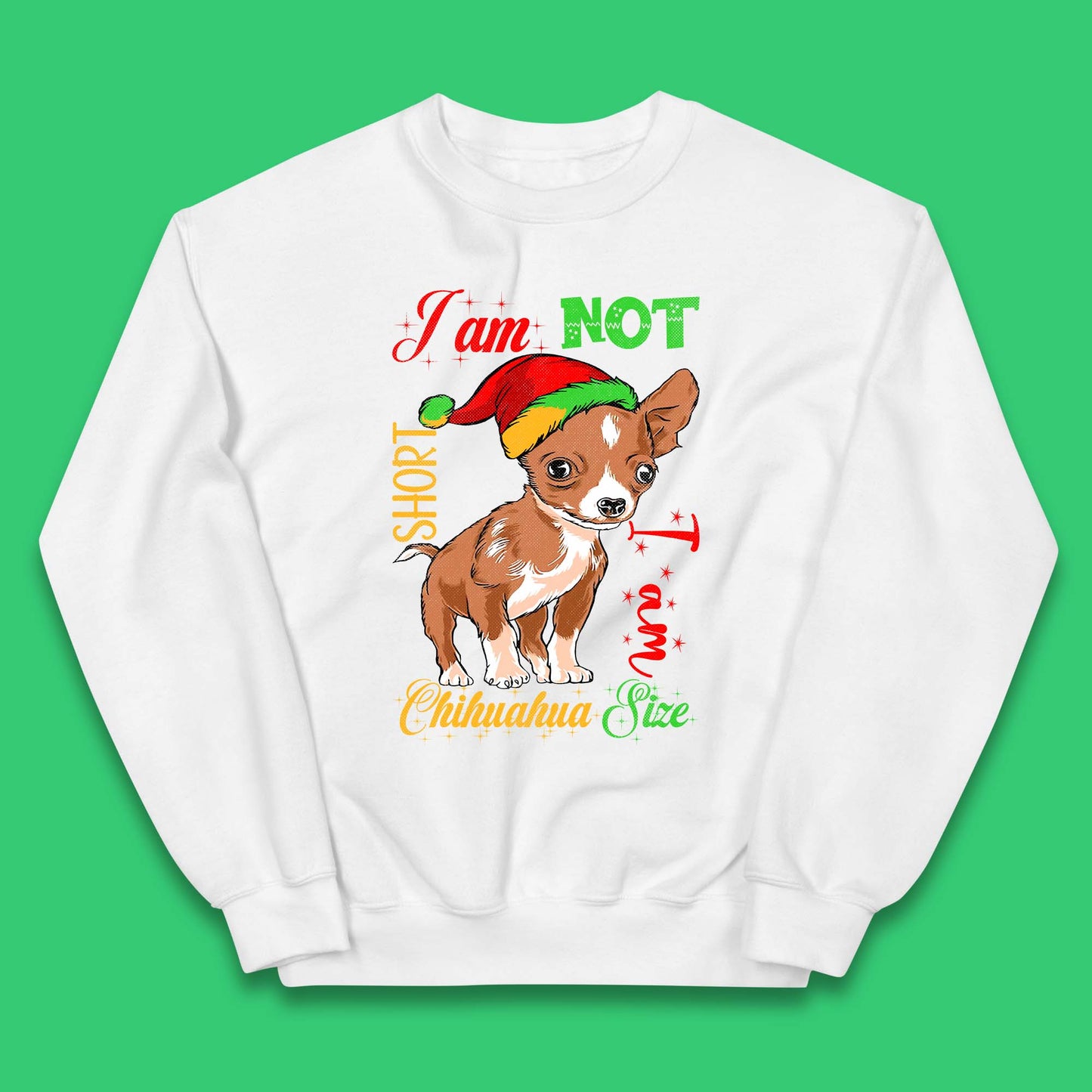 Chihuahua Size Christmas Kids Jumper