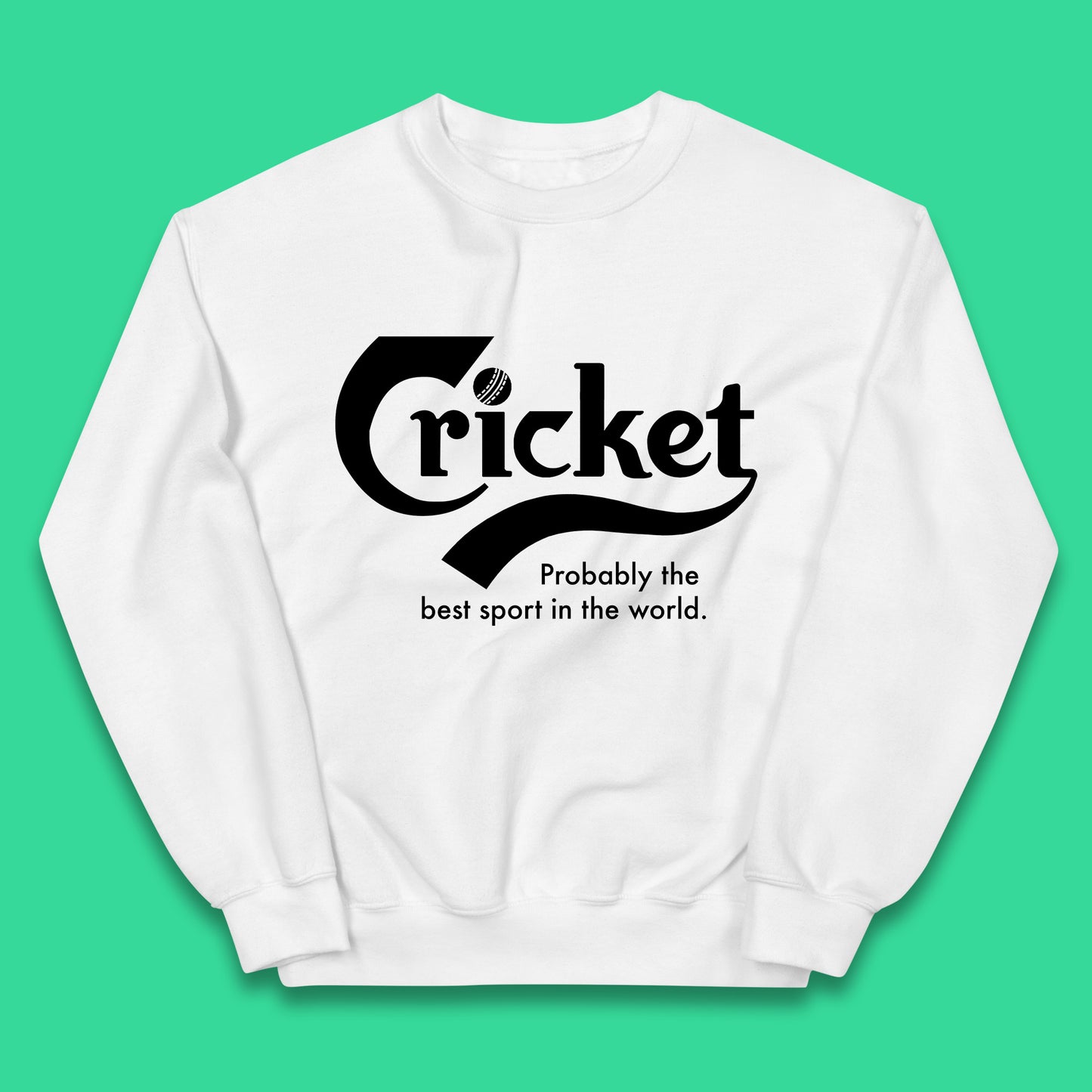 Childrens Cricket Jumper