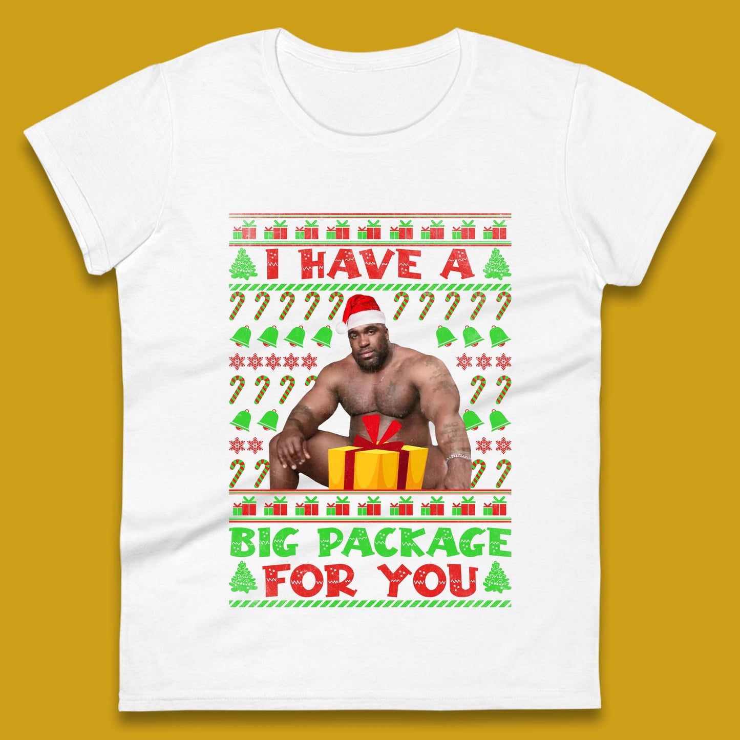 Big Package Ugly Christmas Womens T-Shirt