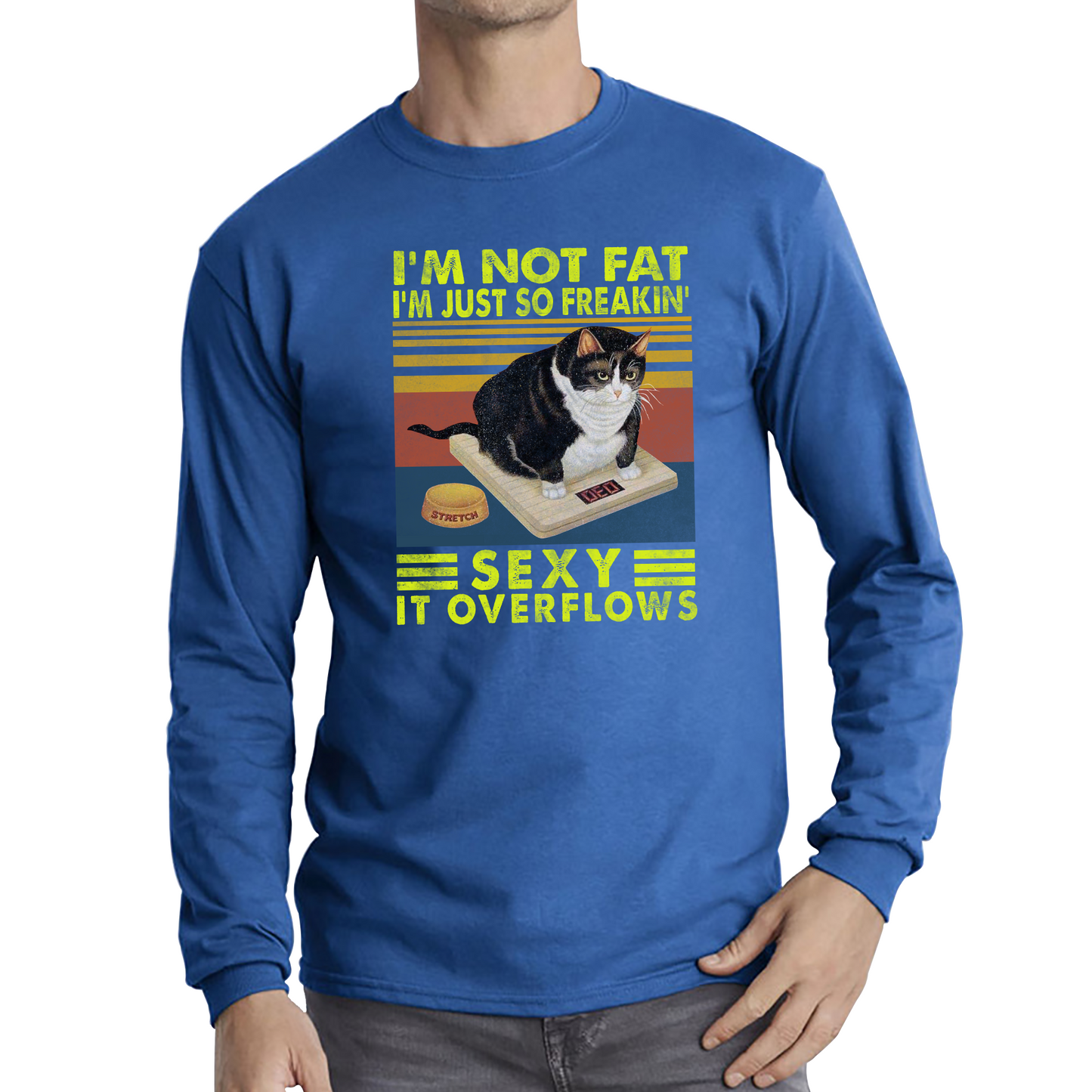 I’m Not Fat I’m Just So Freakin Sexy It Overflows Cat Vintage T Shirt