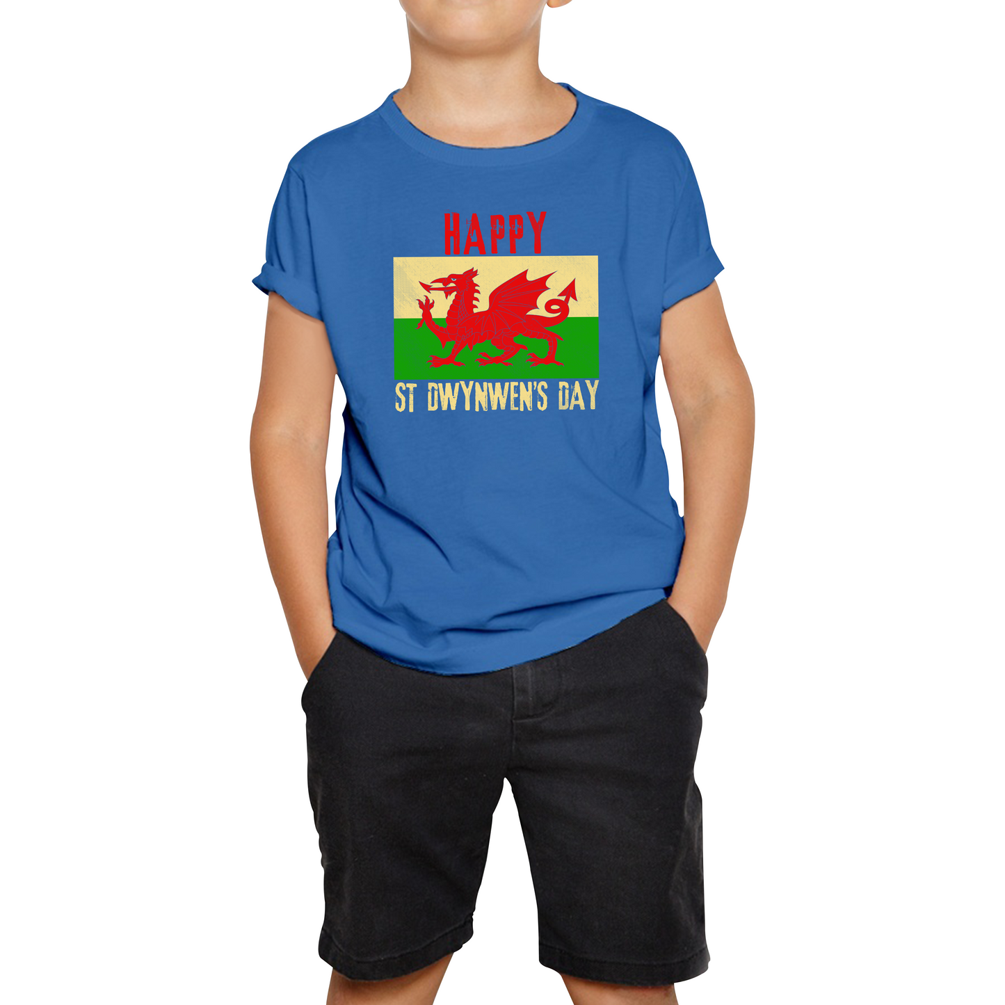 Happy St Dwynwen's Day Dydd Santes Dwynwen Saint Dwynwen Day Saint Of Lovers Kids Tee