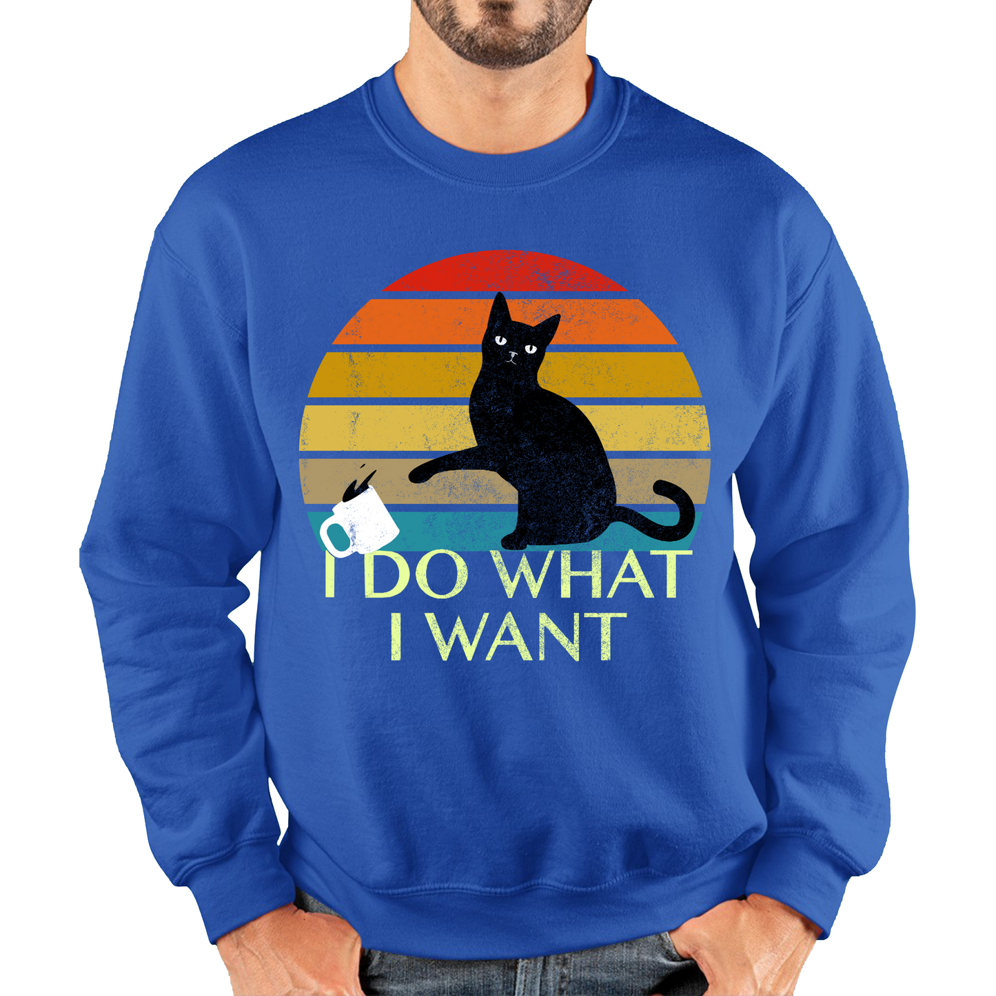 Black Cat I Do What I Want Vintage Sweatshirt