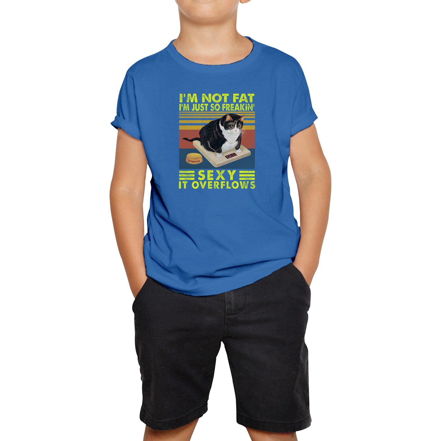 I’m Not Fat I’m Just So Freakin Sexy It Overflows Cat Vintage T Shirt