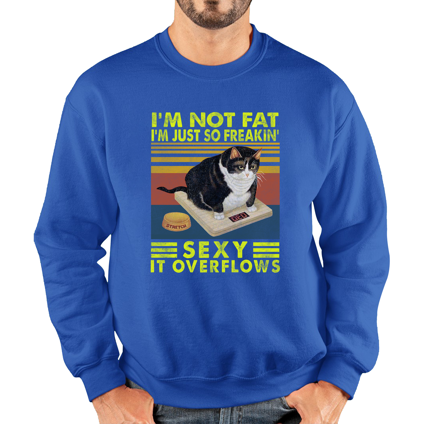 I’m Not Fat I’m Just So Freakin Sexy It Overflows Cat Vintage Sweatshirt