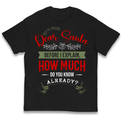 naughty christmas outfit Kids T-Shirt