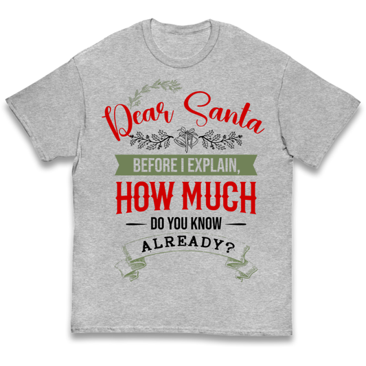 naughty christmas outfit Kids T-Shirt