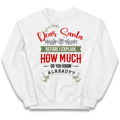 naughty christmas outfit Kids Jumper