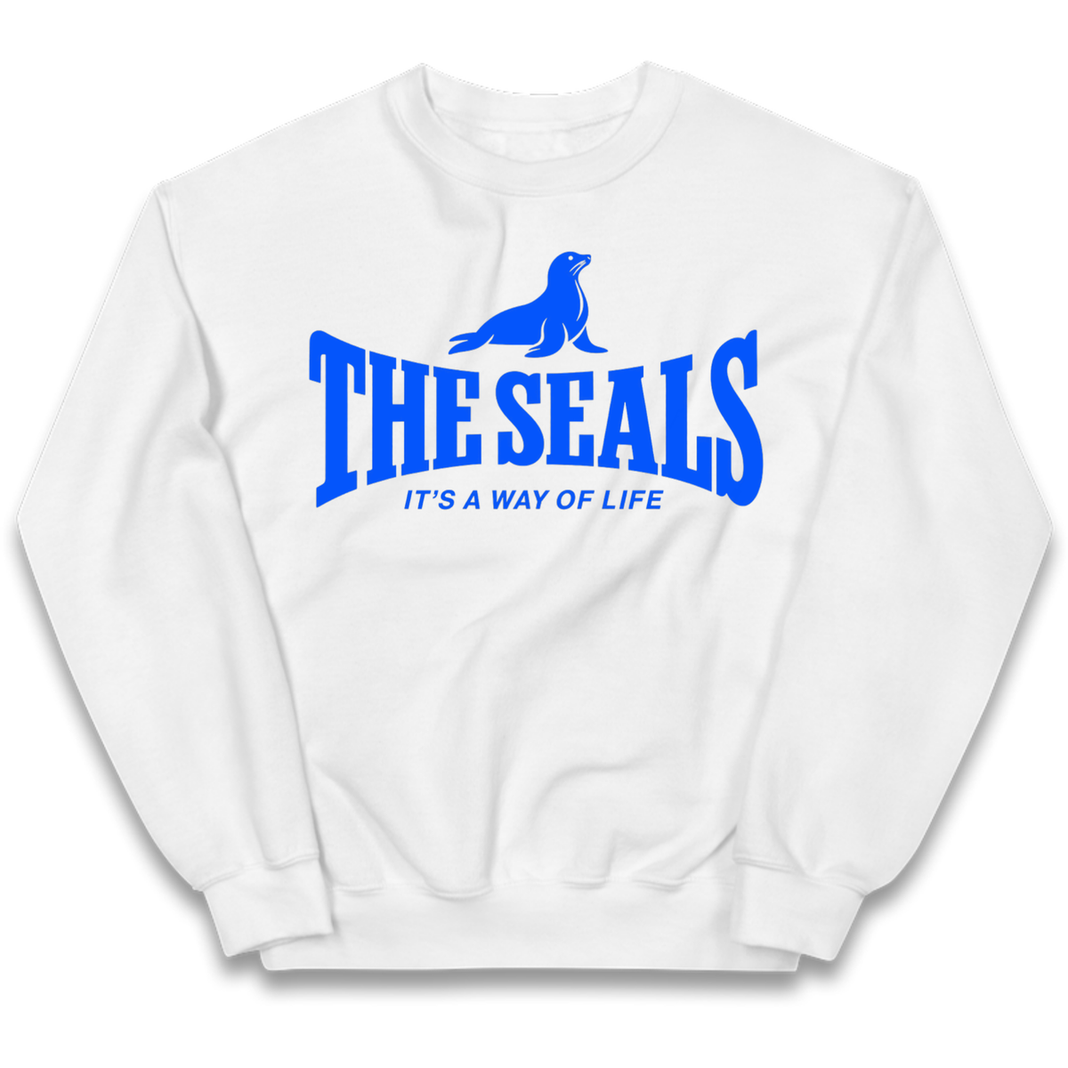 Chester City FC Kids Jumper