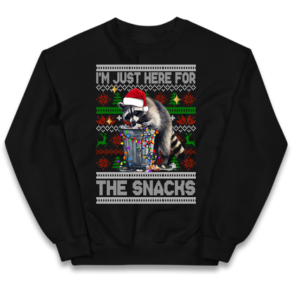 Winter Pullover Kids Jumper