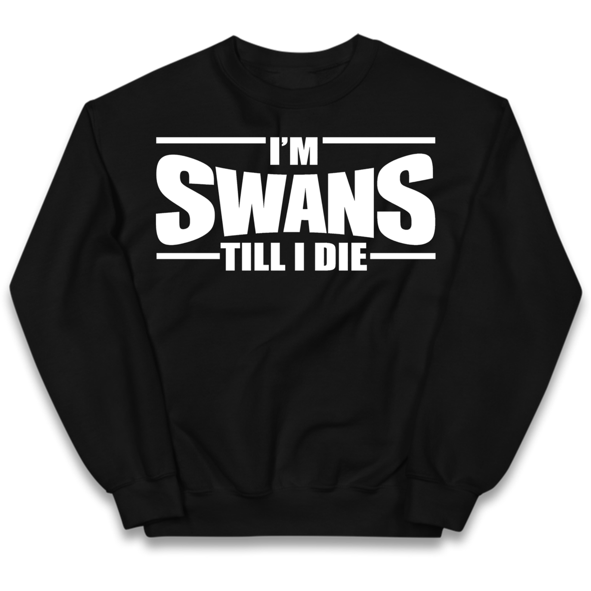 Swansea City Football Kids Jumper