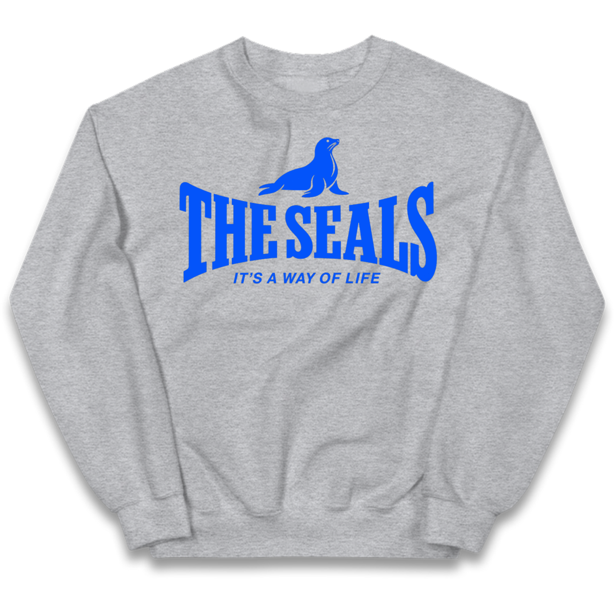 Chester City FC Kids Jumper