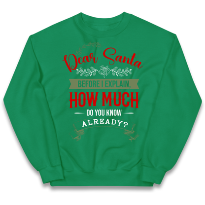 naughty christmas outfit Kids Jumper