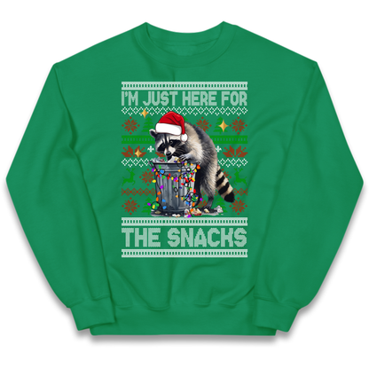 Winter Pullover Kids Jumper