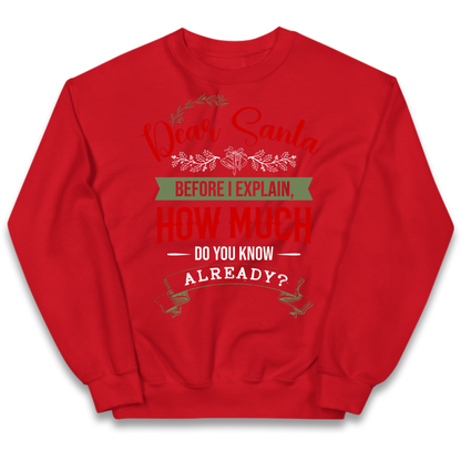 naughty christmas outfit Kids Jumper