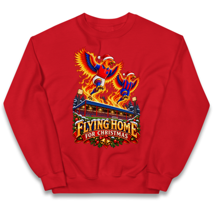 Aldershot Christmas Kids Jumper