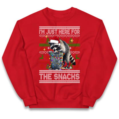 Winter Pullover Kids Jumper