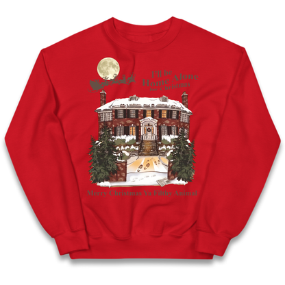 Home Alone Festive Christmas Kids Jumper