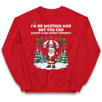 Christmas jumper Kids Jumper