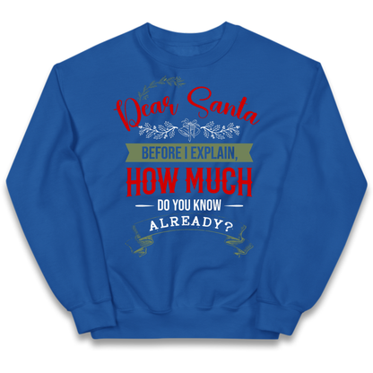 naughty christmas outfit Kids Jumper