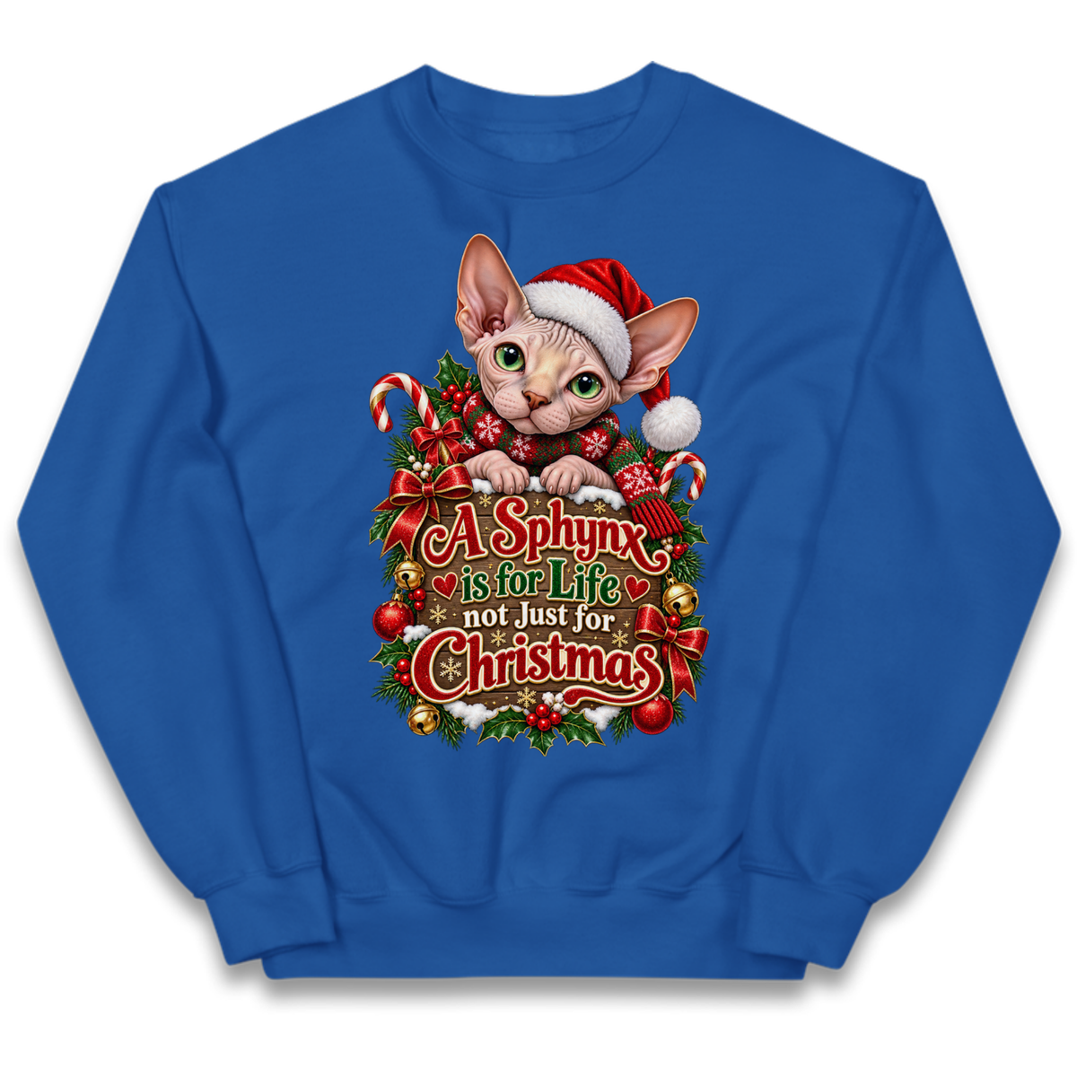 Sphynx Cat Christmas Kids Jumper