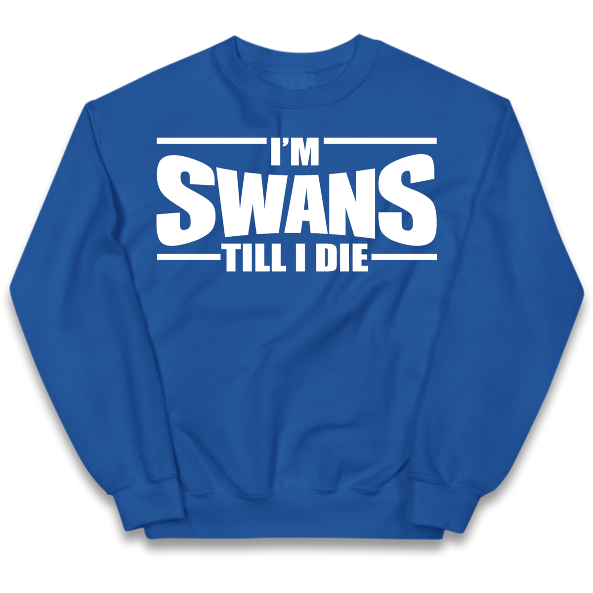Swansea City Football Kids Jumper