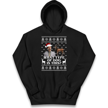I Very Excite Kids Hoodie