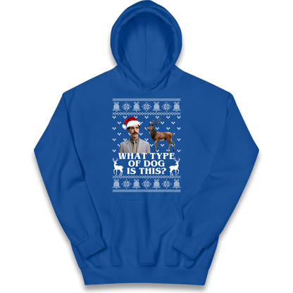 I Very Excite Kids Hoodie