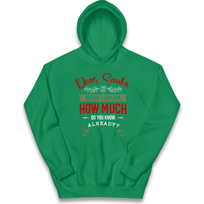 naughty christmas outfit Kids Hoodie