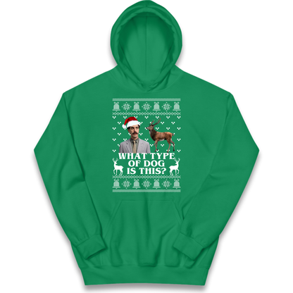 I Very Excite Kids Hoodie