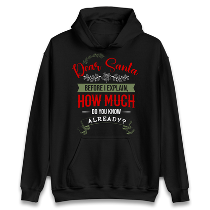 naughty christmas outfit Hoodie