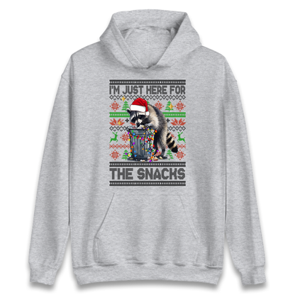 Winter Pullover Hoodie
