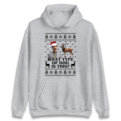 I Very Excite Hoodie