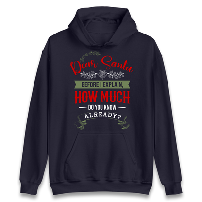 naughty christmas outfit Hoodie