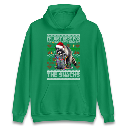 Winter Pullover Hoodie