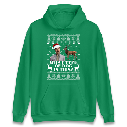 I Very Excite Hoodie