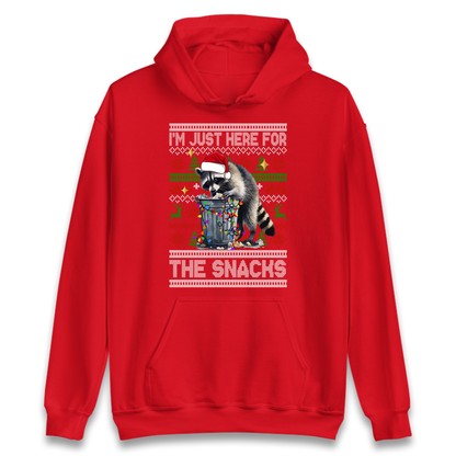 Winter Pullover Hoodie