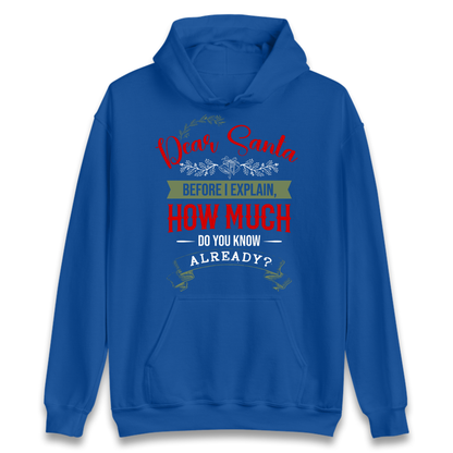 naughty christmas outfit Hoodie