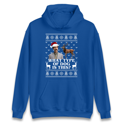I Very Excite Hoodie