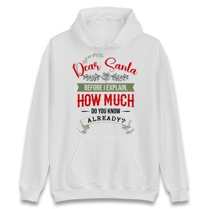 naughty christmas outfit Hoodie