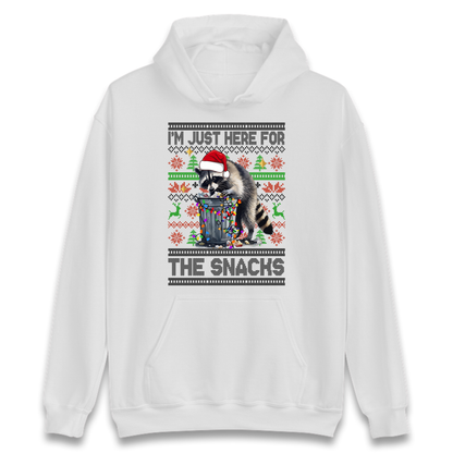 Winter Pullover Hoodie