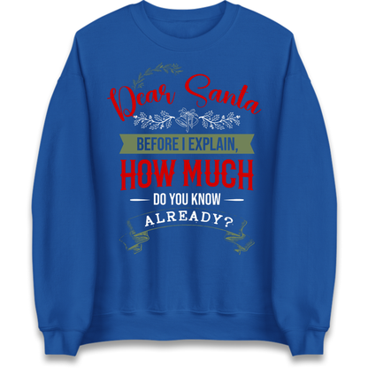 naughty christmas outfit Jumper