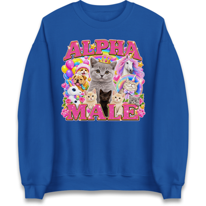 Alpha Male Funny Kitten Unicorn Jumper